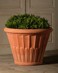 Fluted Flower Pot