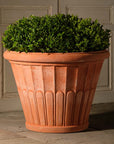 Fluted Flower Pot