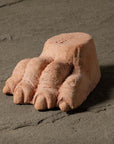 Lion's Foot
