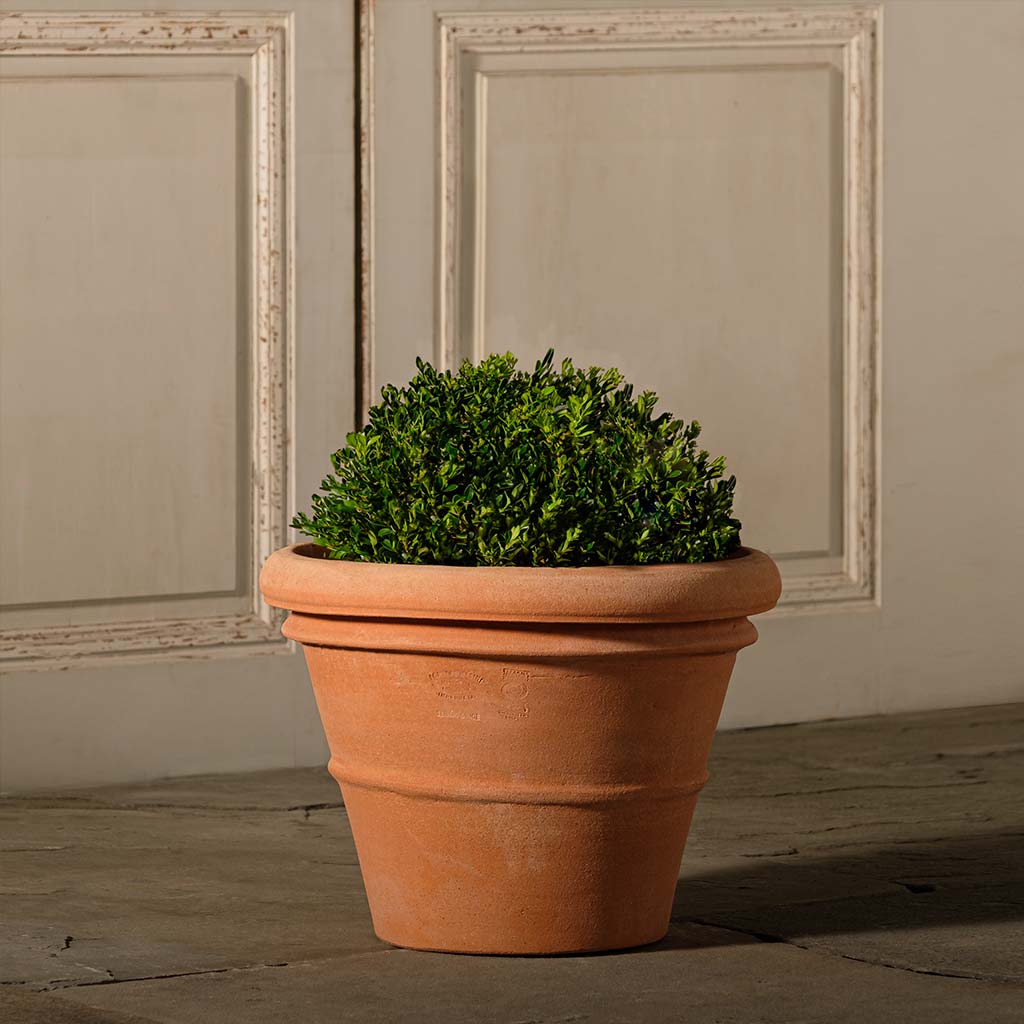 Flat Rim Planter Artisan Rolled Rim Planter, Small – Seibert-Rice