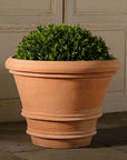 Artisan Rolled Rim Planter, Medium