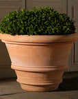 Artisan Rolled Rim Planter, Large