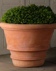 Artisan Rolled Rim Planter, Large
