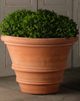 Artisan Rolled Rim Planter, Large