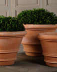 Artisan Rolled Rim Planter, Large