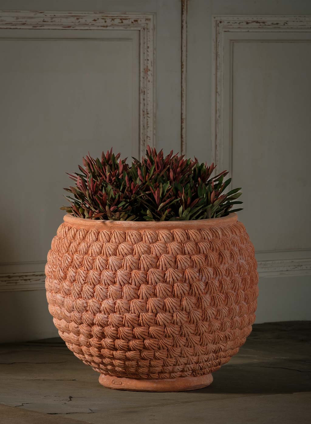 Shell Pot