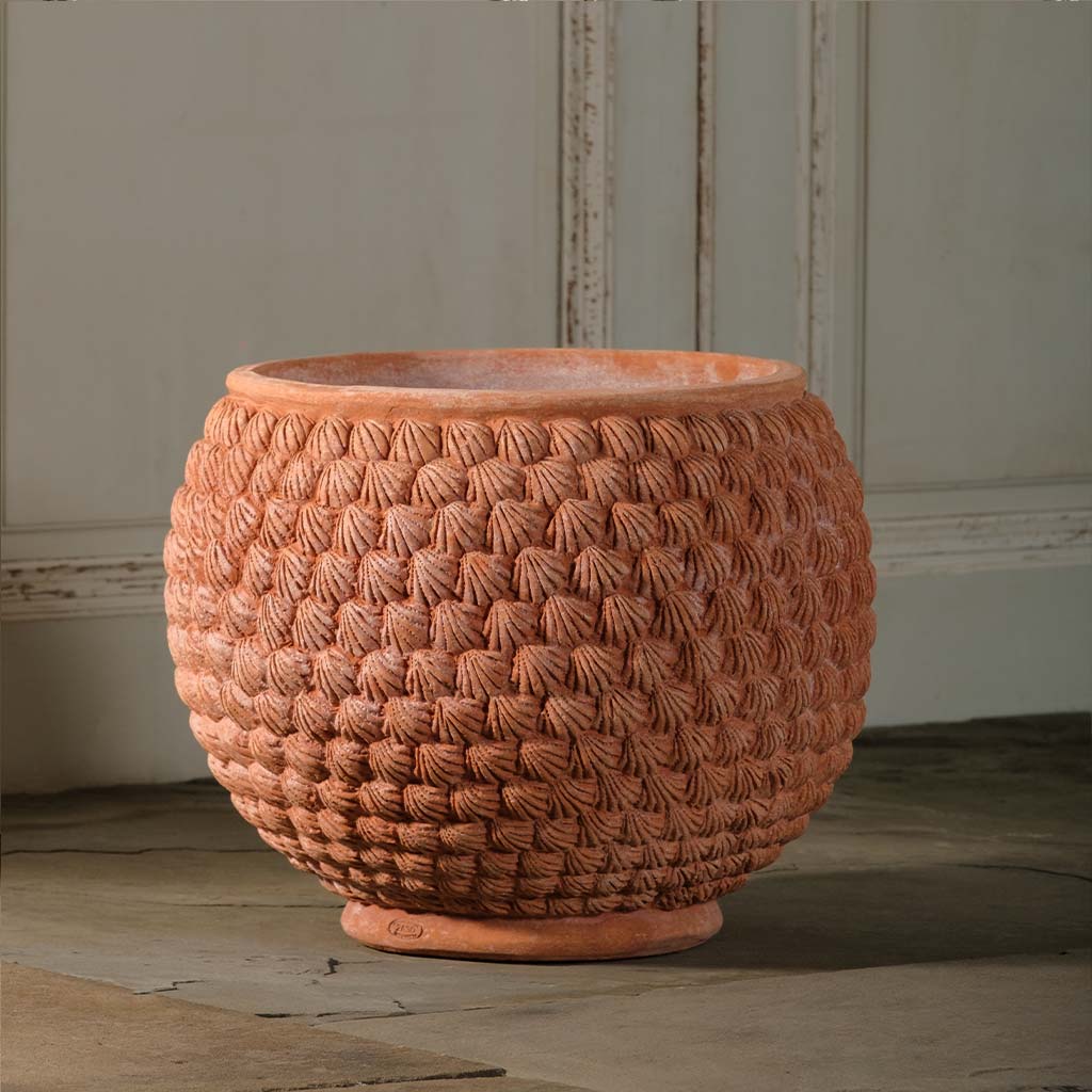 Shell Pot