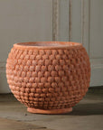 Shell Pot