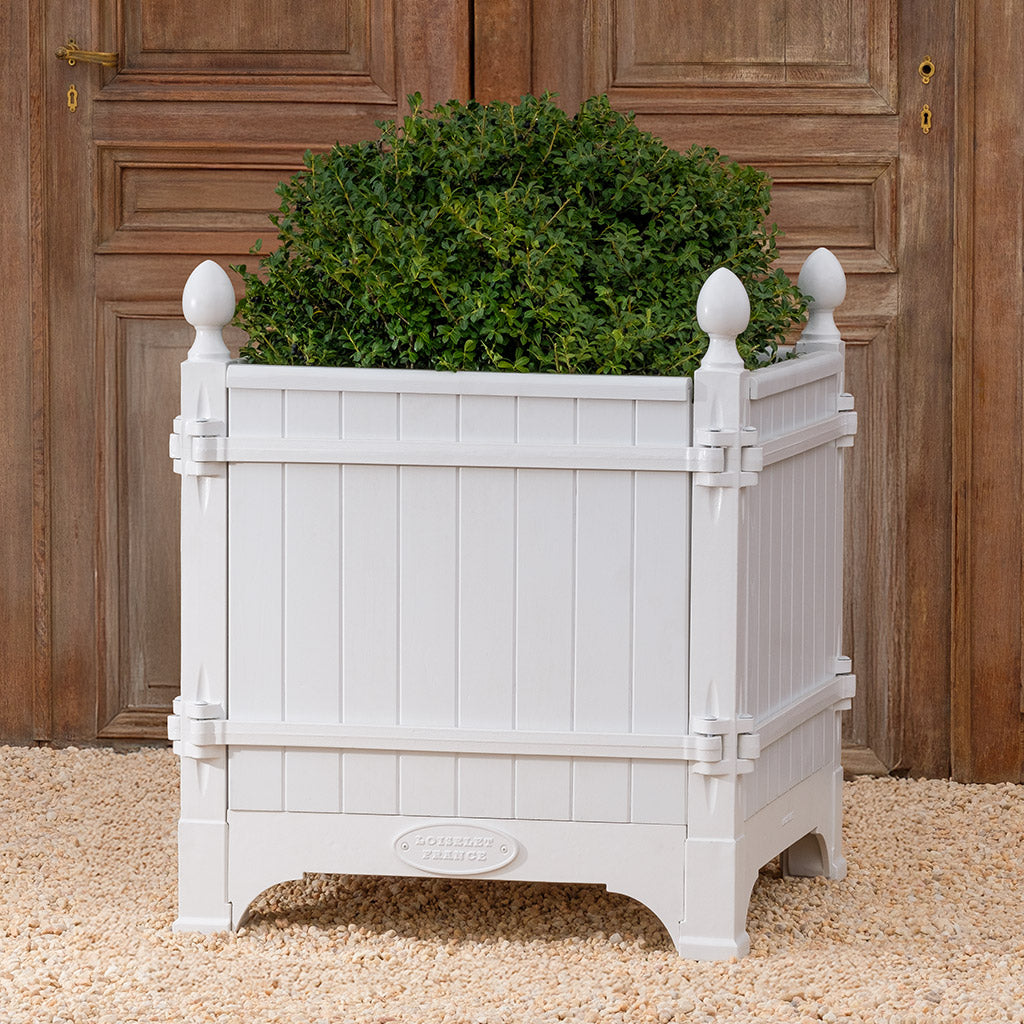 Versailles Planter- Glace Blanche