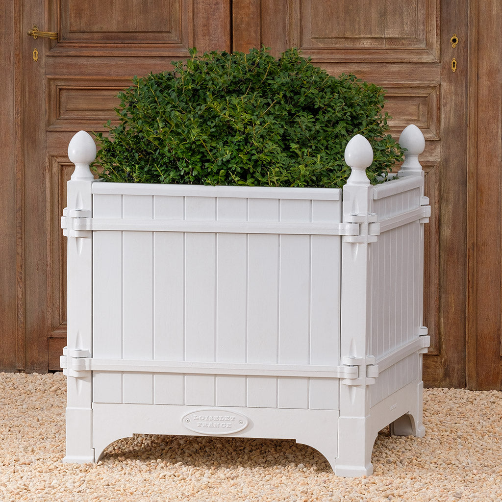 Versailles Planter- Glace Blanche