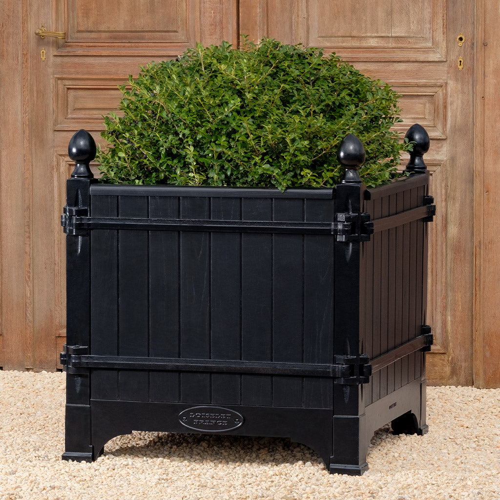 Versailles Planter- Noir Fonce