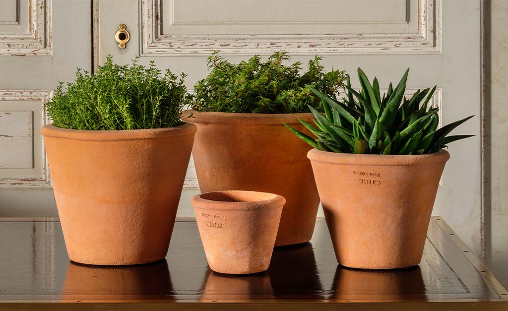 indoor terracotta plant pots Tom Pot Tom Pot - 7" | Handmade Terra Cotta