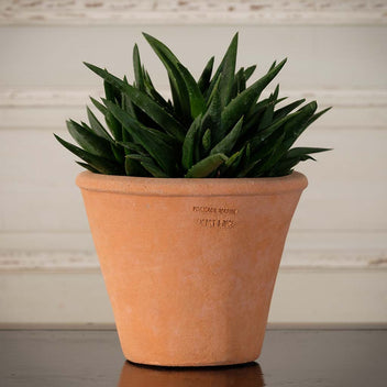 Tom Pot – Seibert-Rice