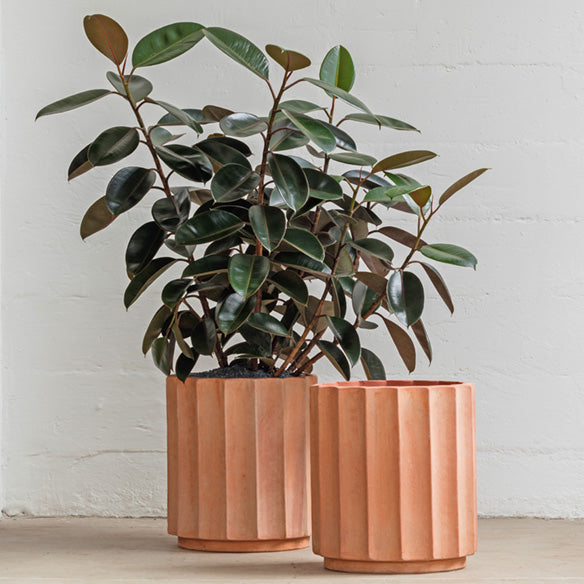 cotton plant pot Column Planter by Billy Cotton Column Planter by Billy Cotton - 16" | Handmade Terra Cotta