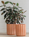 Column Pot by Billy Cotton