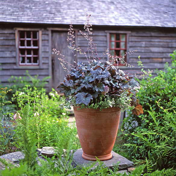 Gertrude Planter by Guy Wolff