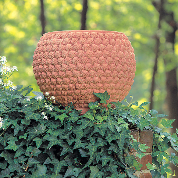 Shell Pot